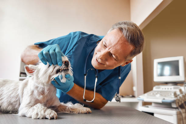 Best Emergency Tooth Extraction in Hackettstown, NJ